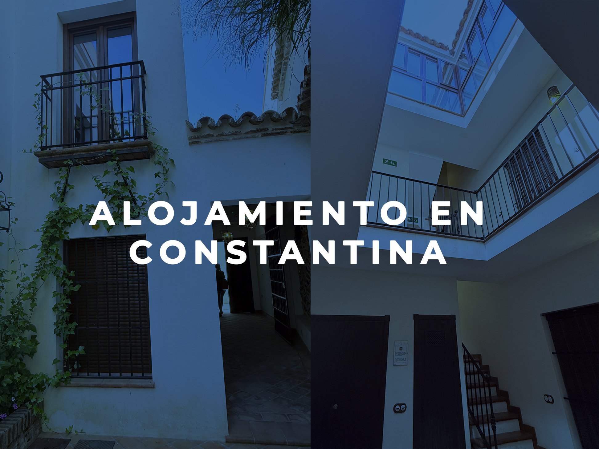 Alojamiento en constantina